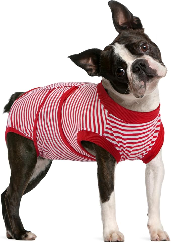 FUAMEY Recovery Suit for Dogs, Dog Onesie for Surgery Female Surgical Suit | Female Dog Onesie for Heat Cycle, Dog in Heat Diapers, Dog Wound care, Spay Cone Alternative after Surgery Rose Stripes L