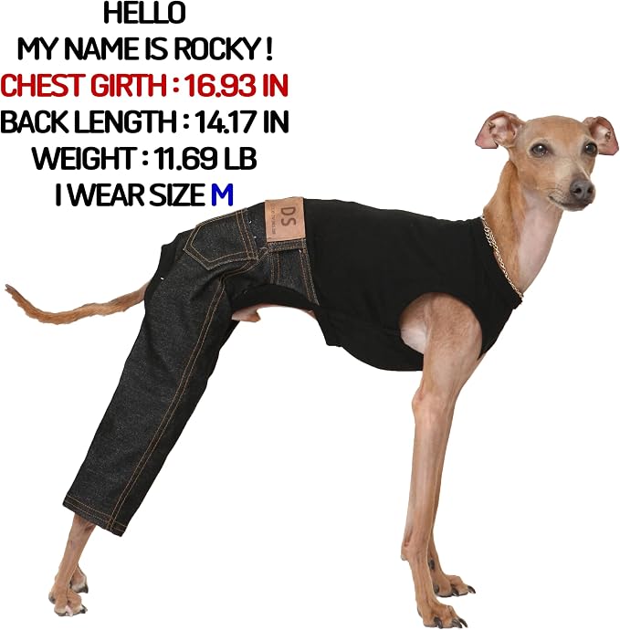 D Doggy Star Italian Greyhound Clothes Sleeveless Jeans Onesie Outfit Whippet for Dog Coat (L,Black Jean)
