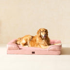 EHEYCIGA Orthopedic XXL Dog Bed, Waterproof Washable XL Big Pet Bed 52" | Non-Slip Bottom and Egg-Crate Memory Foam Extra Large Pet Couch Bed with Washable Removable Cover, Dusty Pink