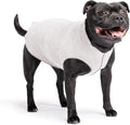 Goldpaw Dog Sun Shirt with UV Protection - Lightweight, Cooling Sun Protection Clothing for Dogs - Reduce Heat Absorption - Pet Clothes Made in the USA - Machine Washable - Size 16 - Pebble Grey