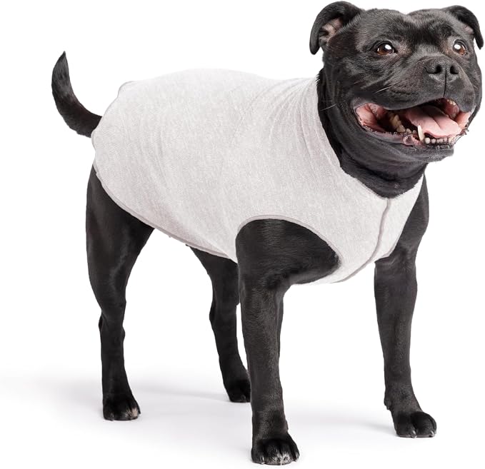 Goldpaw Dog Sun Shirt with UV Protection - Lightweight, Cooling Sun Protection Clothing for Dogs - Reduce Heat Absorption - Pet Clothes Made in the USA - Machine Washable - Size 16 - Pebble Grey