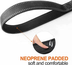 TwoEar 5FT 1IN Strong Black Dog Leash with 2 Padded Handles, Traffic Handle Extra Control, Comfortable Soft Dual Handle, Auto Lock Hook, Reflective Walking Lead for Small Medium and Large Dogs | Traffic Handle Extra Control, Auto Lock Hook, Strong Refl...