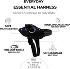 ShawnCo Essential Dog Harness, No-Pull Pet Vest with 3 Leash Clips, No Choke, Reflective, Adjustable and Padded, for Easy Walking and Training for Small, Medium and Large Dogs (USA Flag,S)