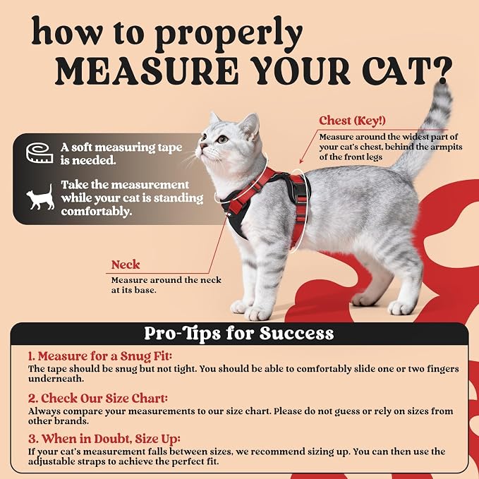 rabbitgoo Cat Harness and Leash Set, Escape Proof Vest, Black & Red | Soft Breathable Mesh, Easy Adjustable Fit, Snap Buckles, Sturdy Clip, Reflective Strips, for Small & Average Cats Walks, Xs