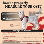 rabbitgoo Cat Harness and Leash Set, Escape Proof Vest, Black & Red | Soft Breathable Mesh, Easy Adjustable Fit, Snap Buckles, Sturdy Clip, Reflective Strips, for Average Cats Walks, S