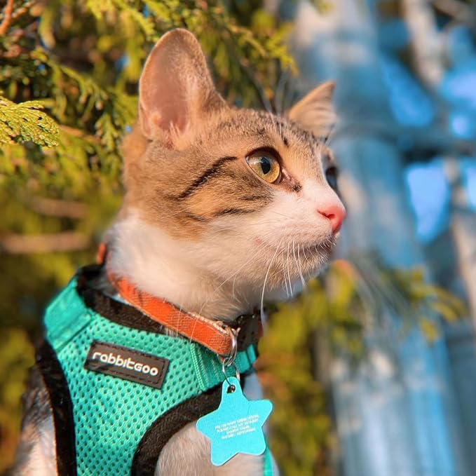 rabbitgoo Cat Harness and Leash Set, Escape Proof Vest, Emerald | Soft Breathable Mesh, Easy Adjustable Fit, Snap Buckles, Sturdy Clip, Reflective Strips, for Medium to Large Cats Walks, M
