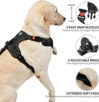 NESTROAD No Pull Dog Harness,Adjustable Oxford Dog Vest Harness with Leash,Reflective No-Choke Pet Harness with Easy Control Soft Handle for Small Dogs(Small,Black)