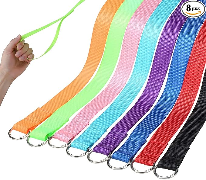 HOMIMP Slip Lead Dog Leash 6 FT- 8 PCS Bulk Colors Kennel Control Leashes for Small Medium Large Dogs Puppy Animal Rescue, Grooming - Heavy Duty Strong Nylon 6 Foot Long for Shelter, Vet, Training