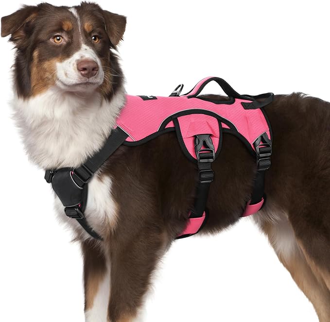 rabbitgoo Escape Proof Dog Harness for Medium, No Pull with Lift Handle | No Escape, Full Soft Padded, Reflective Adjustable Vest, Leash Clip for Walking Hiking Training, Peach Pink, Medium