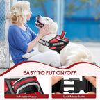 Service Dog Vest Harness and Leash Set, Animire in Training Dog Harness with 10 Dog Patches, Reflective Dog Leash with Soft Padded Handle for Small, Medium, Large, and Extra-Large Dogs (RED,XS)