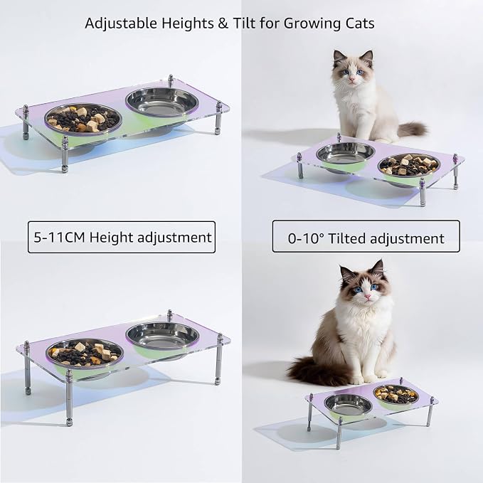 Elevated Cat Bowls with Food Mat Tilted 304 Stainless Steel Dishes for Cats | Raised Food and Water Bowl Set, Whisker Friendly Shallow Dish,10° tilted Anti-Vomiting, Durable Acrylic Base Feeder, Non-Slip