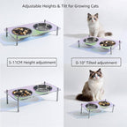 Elevated Cat Bowls with Food Mat Tilted 304 Stainless Steel Dishes for Cats | Raised Food and Water Bowl Set, Whisker Friendly Shallow Dish,10° tilted Anti-Vomiting, Durable Acrylic Base Feeder, Non-Slip