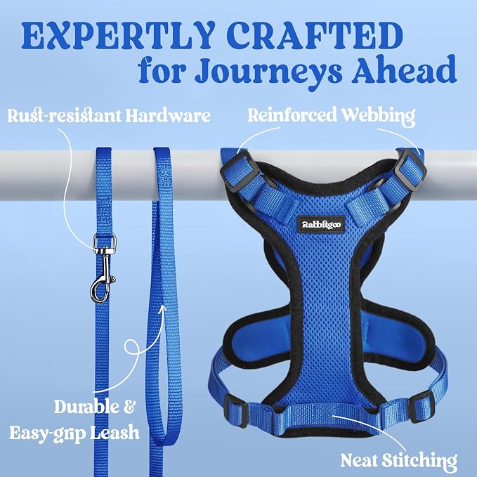 rabbitgoo Cat Harness and Leash Set, Escape Proof Vest, Navy Blue | Soft Breathable Mesh, Easy Adjustable Fit, Snap Buckles, Sturdy Clip, Reflective Strips, for Small & Average Cats Walks, Xs