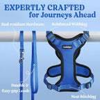 rabbitgoo Cat Harness and Leash Set, Escape Proof Vest, Navy Blue | Soft Breathable Mesh, Easy Adjustable Fit, Snap Buckles, Sturdy Clip, Reflective Strips, for Small & Average Cats Walks, Xs