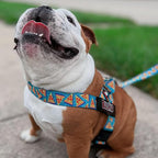 BULLHUG Adjustable Dog Harness– No Pull, No Choke – for English Bulldogs, French Bulldogs, Pugs & Broad-Chested Breeds – Easy, Safe Walks (Pizza, Small)