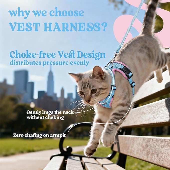 rabbitgoo Cat Harness and Leash Set, Escape Proof Vest, Light Blue & Pink | Soft Breathable Mesh, Easy Adjustable Fit, Snap Buckles, Sturdy Clip, Reflective Strips, for Average Cats Walks, S