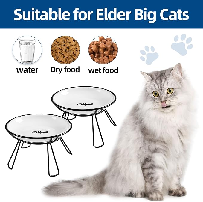 Cat Bowls, Elevated Bowl, Raised Ceramic Dish with Metal Stand, Pet Water or Food Feeding Station for Indoor Cats, Kitten, Puppies and Small Dogs(2 Pack)