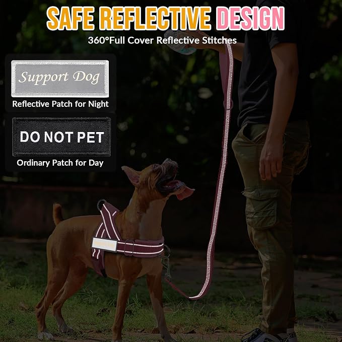 Lukovee No Pull Dog Harness and Leash Set - Adjustable Soft Padded Vest with Front Clip for Easy Control, Reflective Durable Harness for Safe Daily Training Walking for Medium Large Dogs (XL, PI)