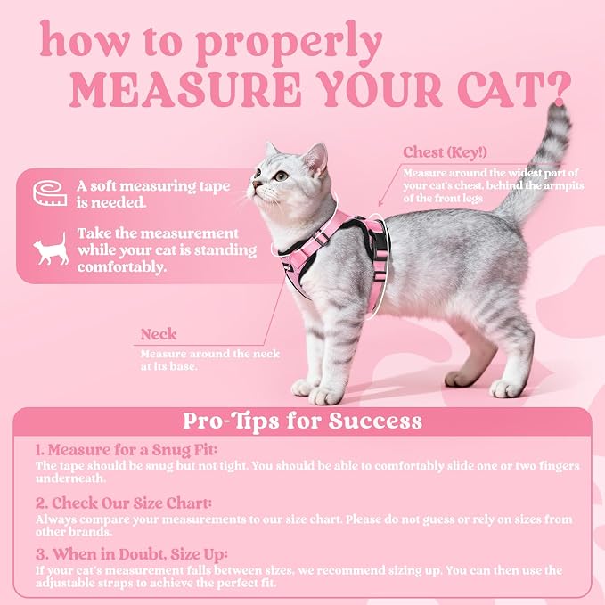 rabbitgoo Cat Harness and Leash Set, Escape Proof Vest, Pink | Soft Breathable Mesh, Easy Adjustable Fit, Snap Buckles, Sturdy Clip, Reflective Strips, for Kittens & Small Cats Walks, Xxs