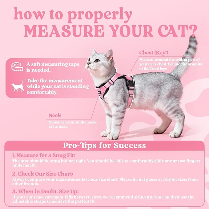 rabbitgoo Cat Harness and Leash Set, Escape Proof Vest, Pink | Soft Breathable Mesh, Easy Adjustable Fit, Snap Buckles, Sturdy Clip, Reflective Strips, for Average Cats Walks, S