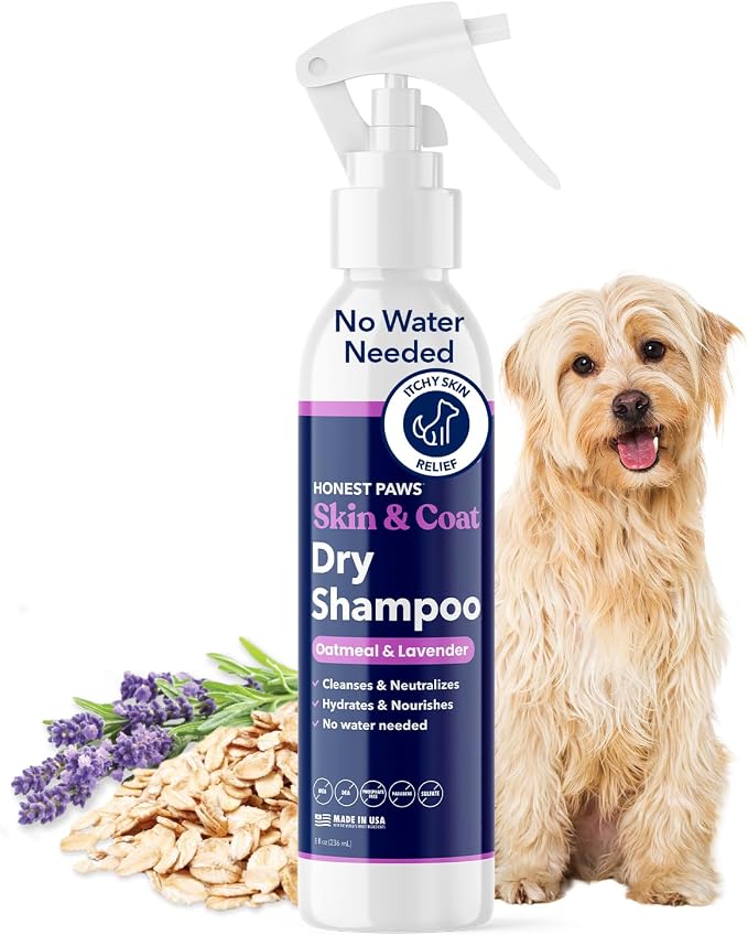 Honest Paws Dog Dry Shampoo - Waterless No Rinse Foaming Formula Reducing Itch Cleanse Hydrate Nourish Dry Skin and Smelly Coat Help Decrease Odor Shedding and Allergies - Oatmeal & Lavender - 8 fl oz