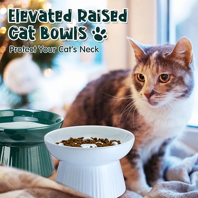 Tioncy 2 Pcs Ceramic Elevated Slow Feeder Cat Bowl, Raised Cat Slow Feeder Bowl, Anti Vomiting for Dry and Wet Food, No Spill High Edge Easy Clean Dishwasher Safe (Dark Green,Blue)