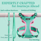 rabbitgoo Cat Harness and Leash Set, Escape Proof Vest, Green & Pink | Soft Breathable Mesh, Easy Adjustable Fit, Snap Buckles, Sturdy Clip, Reflective Strips, for Kittens & Small Cats Walks, Xxs