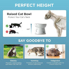 Necoichi Ceramic Raised Cat Food Bowl, Whisker-Friendly (Cats, Large Flat)