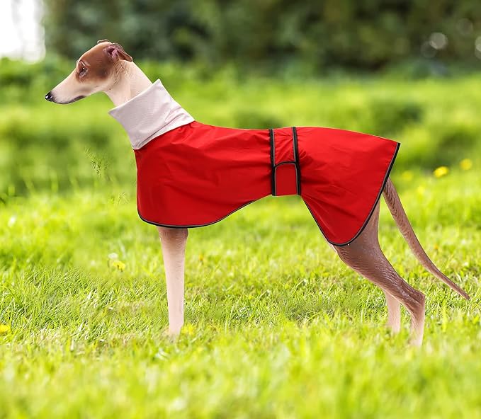 Greyhound Whippet Raincoat Waterproof with Reflective Stripe high Neck fit for Italian Greyhounds Whippets Long Back Breeds - Red - S