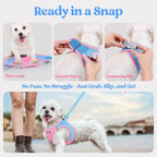 rabbitgoo Dog Harness Small Sized and Leash Set, Step-in Puppy Pet Vest | Light, Soft, Breathable Air Mesh, Easy on and Remove with Hook & Loop, Secure Reflective for Walking, Blue & Light Pink XS