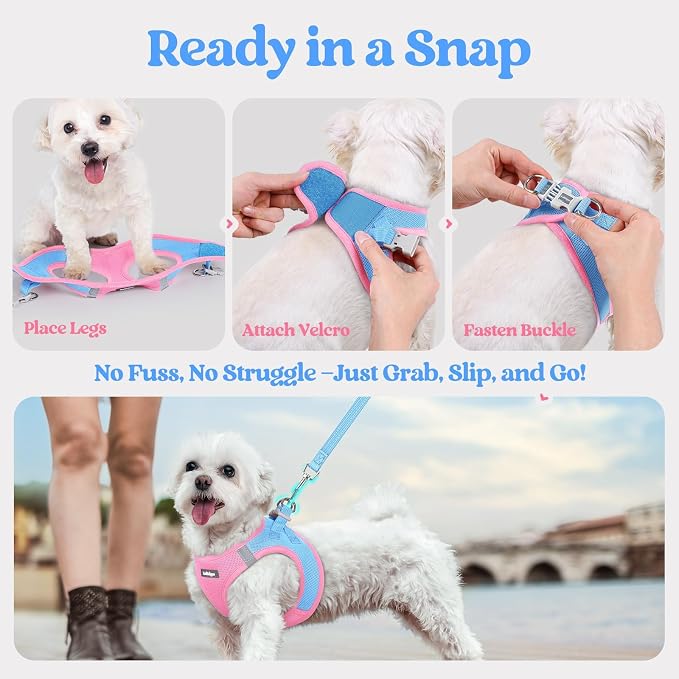 rabbitgoo Dog Harness Medium Sized and Leash Set, Step-in Puppy Pet Vest | Light, Soft, Breathable Air Mesh, Easy on and Remove with Hook & Loop, Secure Reflective for Walking, Blue & Light Pink L
