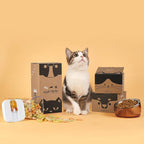 Felli Pet Oblik Acrylic Raised Dog Food Water Bowl Stainless Steel Slanted Oval Dish for Short Leg Puppy & Small Medium Pet, Elevated Tilted Metal Feeder(Gold, 1.5 Cups Oval Dish)