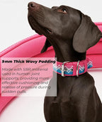 Dog Collar for Large Dogs,2 in Wide Heavy Duty,Pressure-Relief Padded, A-M | Professional Protection for Large and Giant Breeds,Handle for Control,Stainless Steel Buckle Ultra Safety,20-23 in