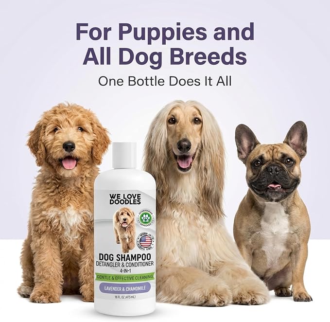 Dog Shampoo, Conditioner & Detangler, Hypoallergenic Tearless Lavender 16OZ | For Sensitive Itchy Skin, Best Shampoo For Smelly Dogs, Goldendoodle, Poodle & Doodle, Puppy Pet Wash Soap, USA Made, 4-in-1