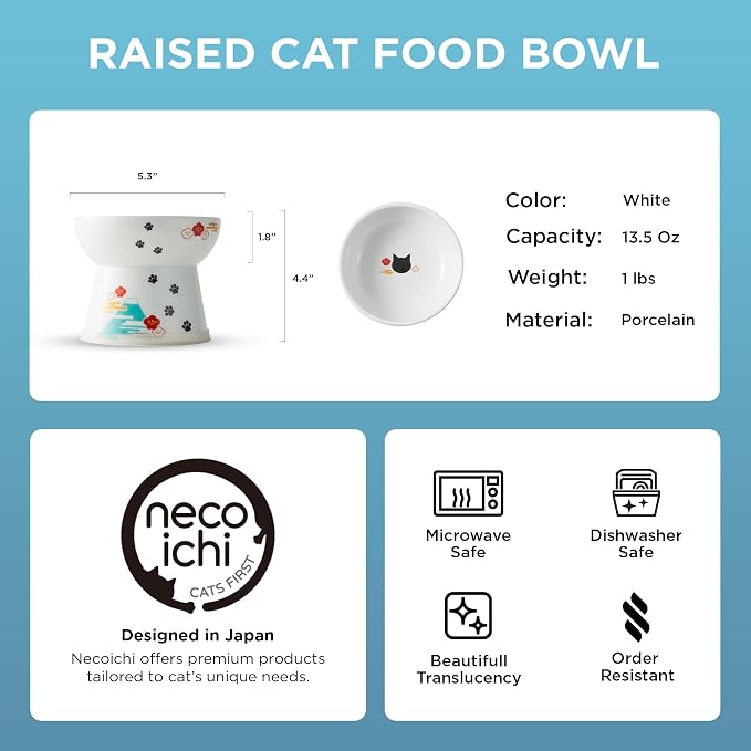 Necoichi Ceramic Raised Cat Food Bowl, Whisker-Friendly (Fuji, Large Flat)