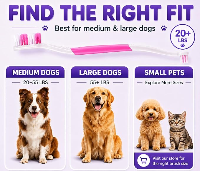 Dog Toothbrush, Dual-Head, for Medium-Large Dogs,Pink | Soft Bristles for Gentle Cleaning ,60° Curved Bristles for Better Coverage ,Comfortable for Sensitive Gums