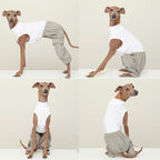 D Doggy Star Italian Greyhound Clothes Cargo Pants Onesie Outfit Whippet for Dog Coat (M,Grey Cargo)