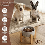 6" Elevated Ceramic Dog Bowl, Anti-Vomiting 23oz for Small Dogs | Premium Food-safe Ceramic with Anti-slip Wood Stand,Dishwasher Safe,Ergonomic Height Relieves Neck Strain,Grey