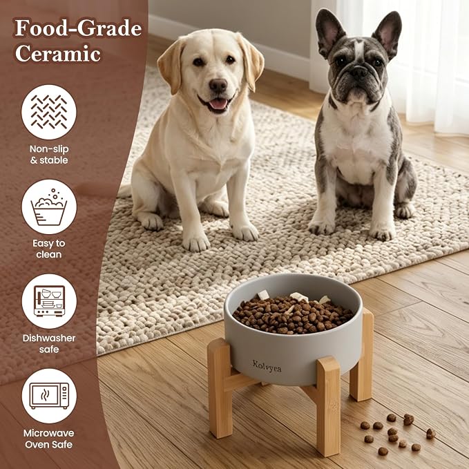 6" Elevated Ceramic Dog Bowl, Anti-Vomiting 23oz for Small Dogs | Premium Food-safe Ceramic with Anti-slip Wood Stand,Dishwasher Safe,Ergonomic Height Relieves Neck Strain,Grey