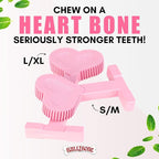 Bullibone Nylon Dog Chew Toy for Aggressive Chewers - Dental Hygiene Bone with Peppermint Flavor, Durable Tough Chew Toys for Large Dogs, Indestructible Dog Bone - Single