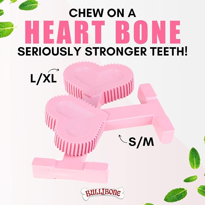 Bullibone Nylon Dog Chew Toy for Aggressive Chewers - Dental Hygiene Bone with Peppermint Flavor, Durable Tough Chew Toys for Large Dogs, Indestructible Dog Bone - Single