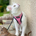 rabbitgoo Cat Harness and Leash Set, Escape Proof Vest, Pink | Soft Breathable Mesh, Easy Adjustable Fit, Snap Buckles, Sturdy Clip, Reflective Strips, for Small & Average Cats Walks, Xs