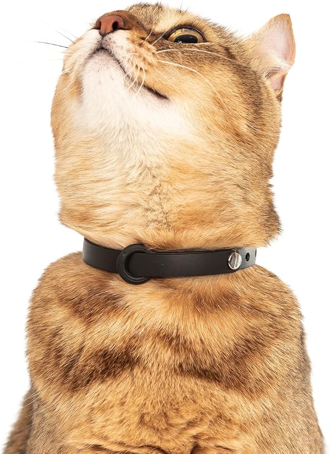 5 Pack Breakaway Cat Collar - Soft, Comfortable, and Lightweight Safety Buckle Collar with ID Tag Ring for Outdoor Cats and Kittens by Nuvuq (6 ⅞" to 10 ¼", Red, Orange, Pink, Blue and Black)