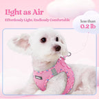 rabbitgoo Dog Harness Medium Sized and Leash Set, Step-in Puppy Pet Vest | Light, Soft, Breathable Air Mesh, Easy on and Remove with Hook & Loop, Secure Reflective for Walking, Pink & Plaid Trim L