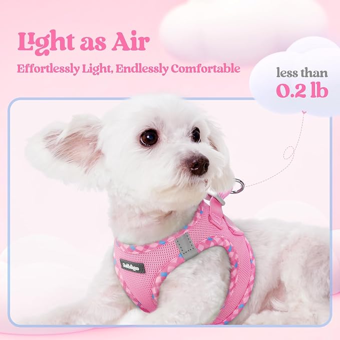rabbitgoo Dog Harness Small Sized and Leash Set, Step-in Puppy Pet Vest | Light, Soft, Breathable Air Mesh, Easy on and Remove with Hook & Loop, Secure Reflective for Walking, Pink & Plaid Trim S