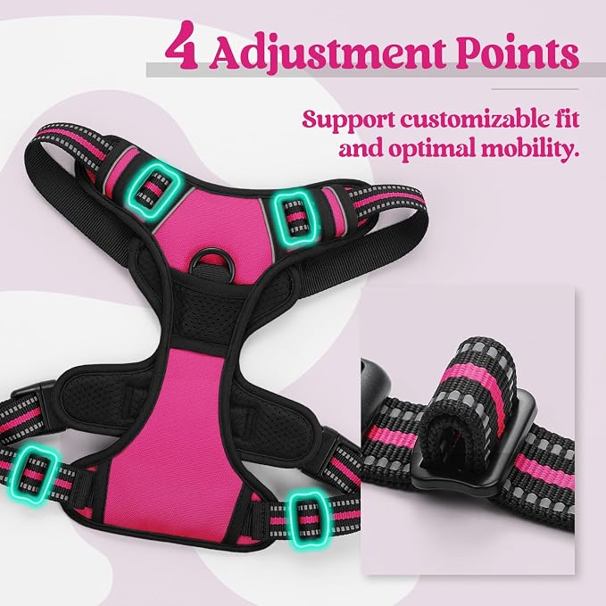 rabbitgoo Dog Harness, No Pull for Large Dogs with 2 Leash Clips, Pet Vest | No Choke with Handle, Adjustable Soft Padded, Reflective, Easy Control for Walking, Hot Pink, Large