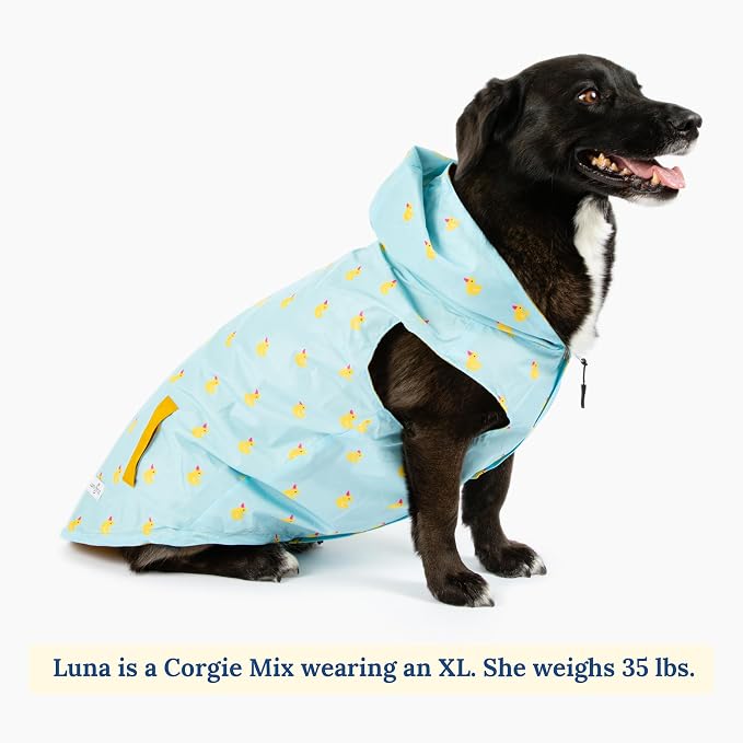 Lucy & Co. Lucky Ducky - Reversible Raincoat for Dogs & Pets - Dog Raincoat - Fashionable and Comfy Water Proof Adjustable Poncho for Canines - X-Large - Yellow Blue Rubber Duck
