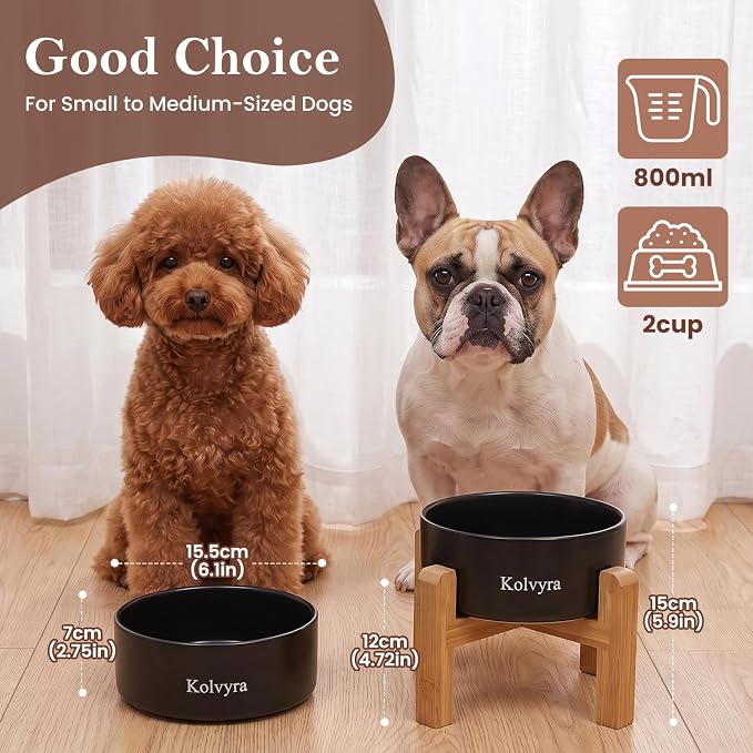 6" Elevated Ceramic Dog Bowl, Anti-Vomiting 23oz for Small Dogs | Premium Food-safe Ceramic with Anti-slip Wood Stand,Dishwasher Safe,Ergonomic Height Relieves Neck Strain,Black