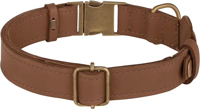 AirTag Dog Collar - Genuine Leather Dog Collar with Apple AirTag Holder and Metal Buckle - Smart GPS Tracking Pet Collars (Tawny, M, 14"-18" Neck Fit)