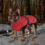 IECOii Extra Warm Dog Coat - Reflective, Adjustable Winter Jacket with Buckle & Turtleneck for Small to Extra Large Dogs